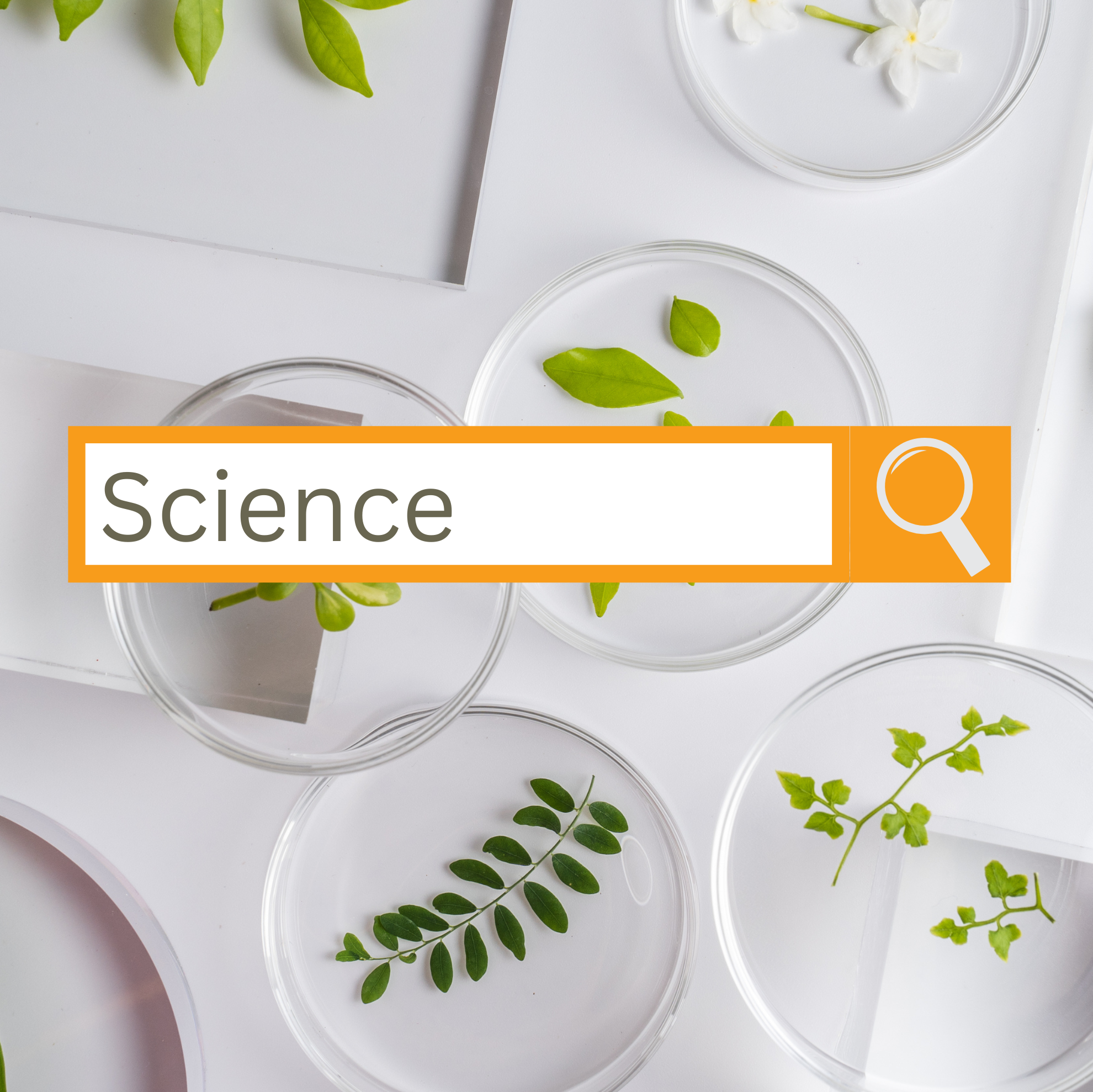 Science Digital Learning Platforms for eLearning – Kalodu