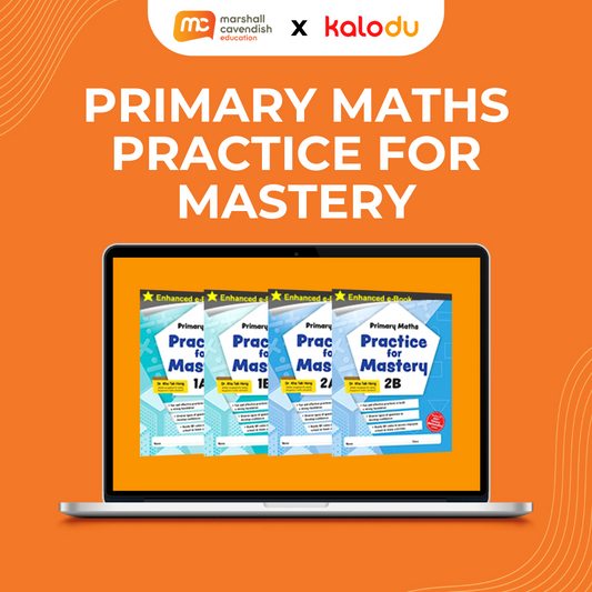 Practice for Mastery (Primary Maths)